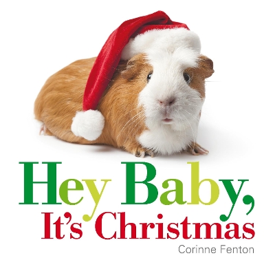 Hey Baby, It's Christmas book