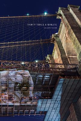 Colleen Plumb: Thirty Times a Minute book