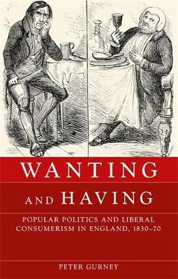 Wanting and Having book