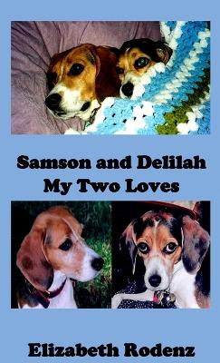 Samson and Delilah book