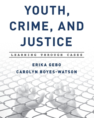 Youth, Crime, and Justice book