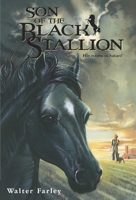 Son Of The Black Stallion by Walter Farley