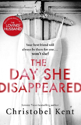 Day She Disappeared book