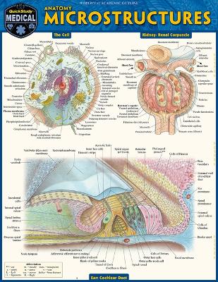 Anatomy Microstructures: A Quickstudy Laminated Reference Guide book