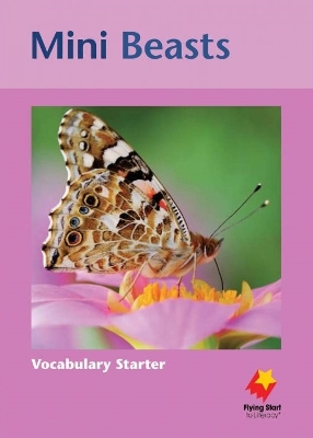 Vocabulary Starter: Level 1: Mini Beasts book