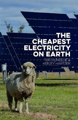 The Cheapest Electricity on Earth book