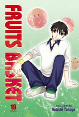 Fruits Basket: v. 19 book