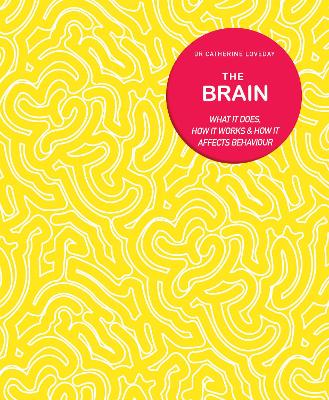 Brain book