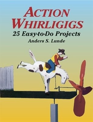 Action Whirligigs book