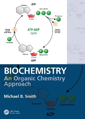 Biochemistry: An Organic Chemistry Approach by Michael B. Smith