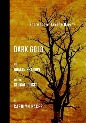 Dark Gold book