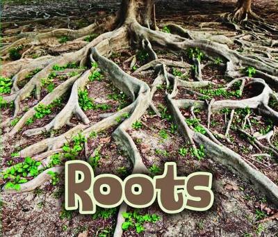 All About Roots by Claire Throp