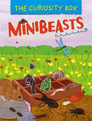 The The Curiosity Box: Minibeasts by Peter Riley