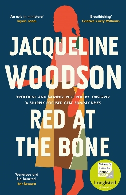 Red at the Bone: Longlisted for the Women's Prize for Fiction 2020 book