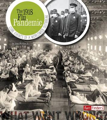 1918 Flu Pandemic book