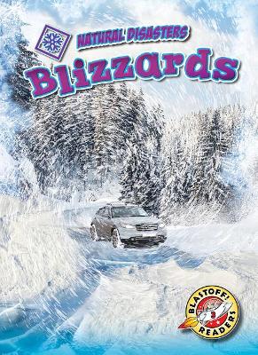 Blizzards by Betsy Rathburn