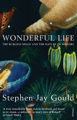 Wonderful Life book