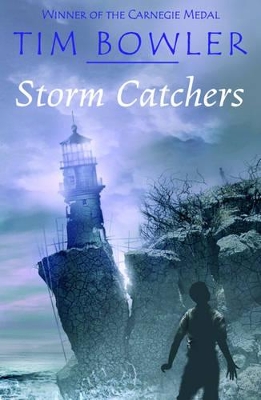 Storm Catchers book