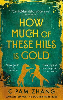 How Much of These Hills is Gold: ‘A tale of two sisters during the gold rush … beautifully written’ The i, Best Books of the Year book
