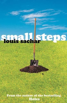 Small Steps book