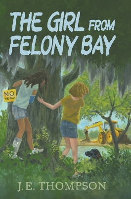 The Girl from Felony Bay book