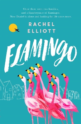 Flamingo: Longlisted for the Women's Prize for Fiction 2022, an exquisite novel of kindness and hope by Rachel Elliott