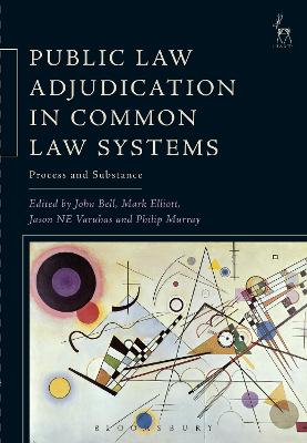 Public Law Adjudication in Common Law Systems book