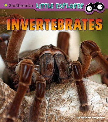 Invertebrates book