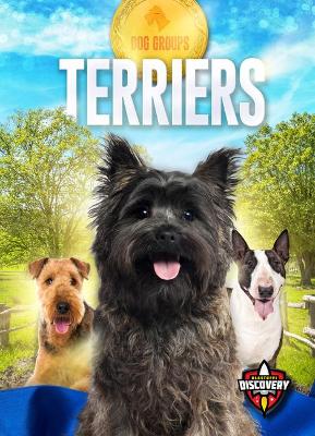 Terriers book