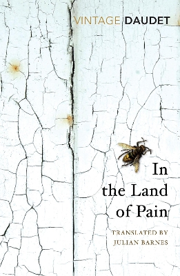 In the Land of Pain by Alphonse Daudet