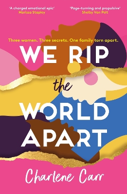 We Rip the World Apart: A sweeping story about motherhood, race and secrets by Charlene Carr