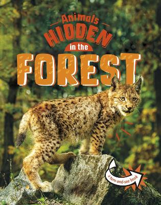 Animals Hidden in the Forest by Jessica Rusick