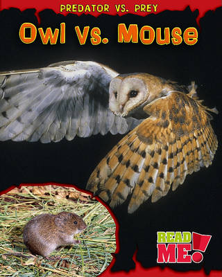 Owl vs. Mouse by Mary Meinking