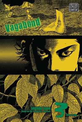 Vagabond, Vol. 3 (VIZBIG Edition) book