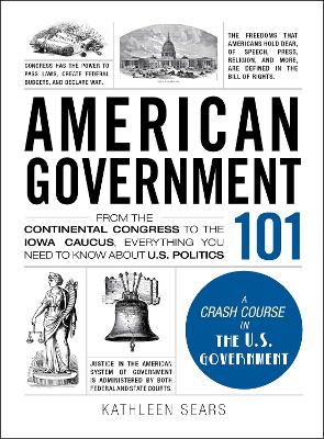 American Government 101 book