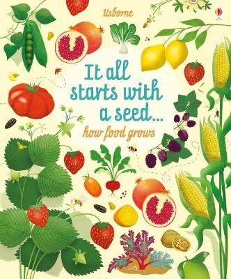 Big Picture Book How Food Grows book