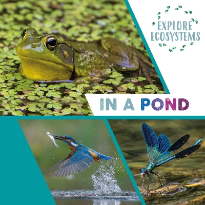 Explore Ecosystems: In a Pond by Sarah Ridley