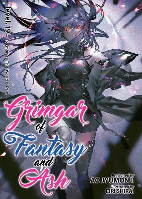 Grimgar of Fantasy and Ash (Light Novel) Vol. 19 book