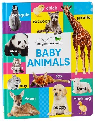 Baby Animals (Large Padded Board Book) book