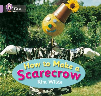 How To Make a Scarecrow book