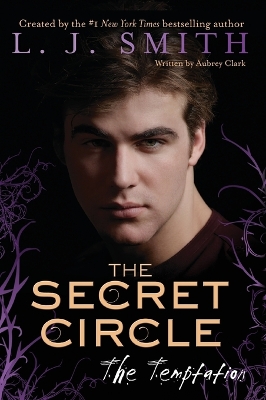 Secret Circle: The Temptation book