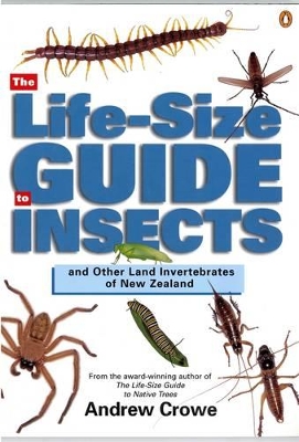 Life-Size Guide to Insects book