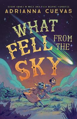 What Fell from the Sky book