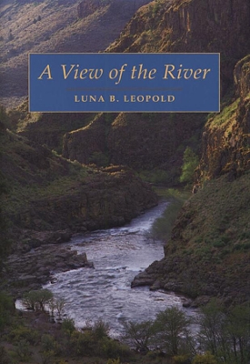 View of the River book