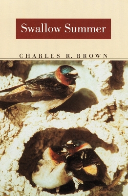 Swallow Summer book