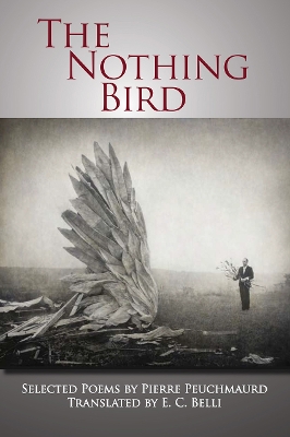 Nothing Bird book