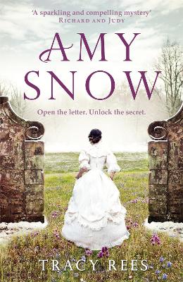 Amy Snow book