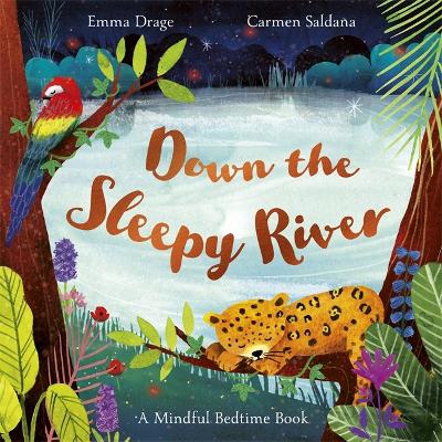 Down the Sleepy River: A Mindful Bedtime Book book