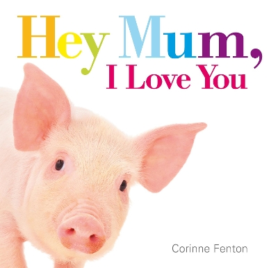 Hey Mum, I Love You book