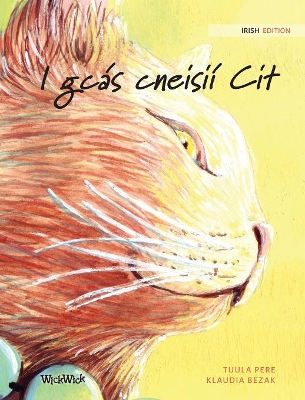 I gcás cneisií Cit: Irish Edition of The Healer Cat by Tuula Pere